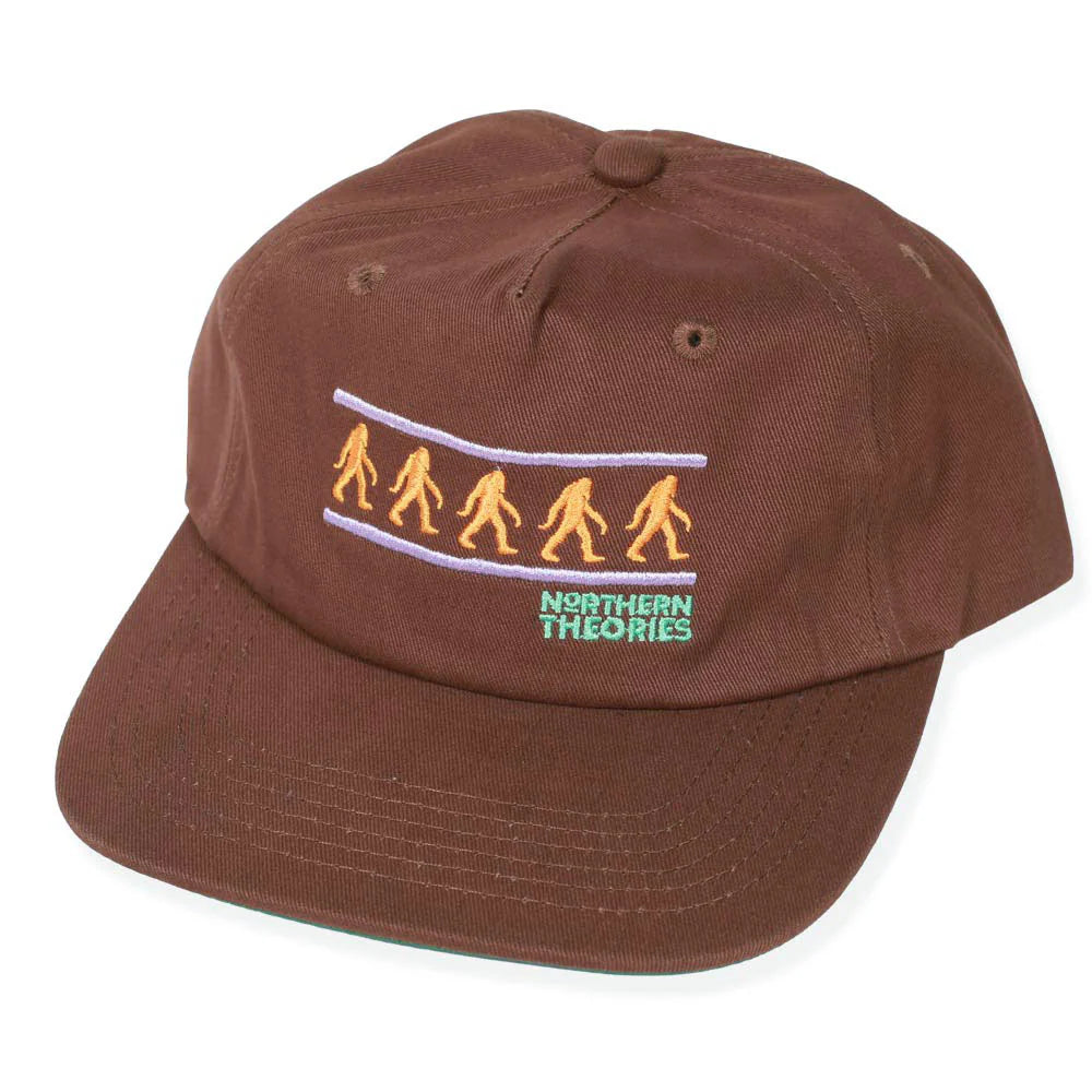Theories Embroidered SnapBack Hat (Brown)