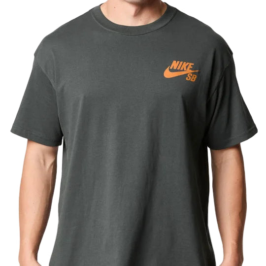 Person wearing a dark gray t-shirt with Nike SB logo on a white background