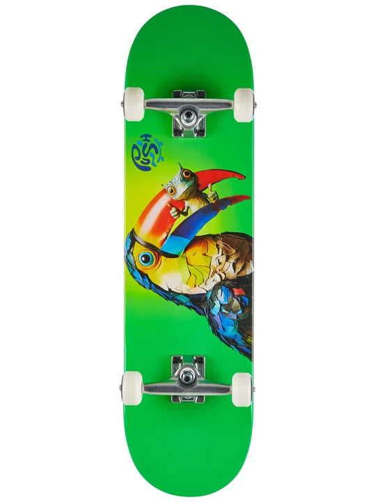 Push Toucan Fade FP Complete (8.25")