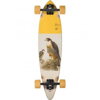 Globe Pintail Cruiser Complete (Falcon)