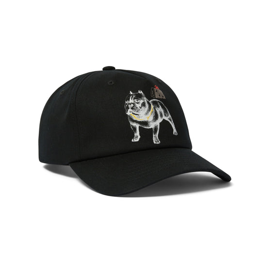 Huf 4 The Dawgs Snapback (Black)