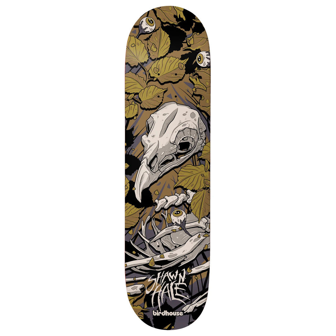 Birdhouse Shawn Hale Tillbrook Deck (9.0")