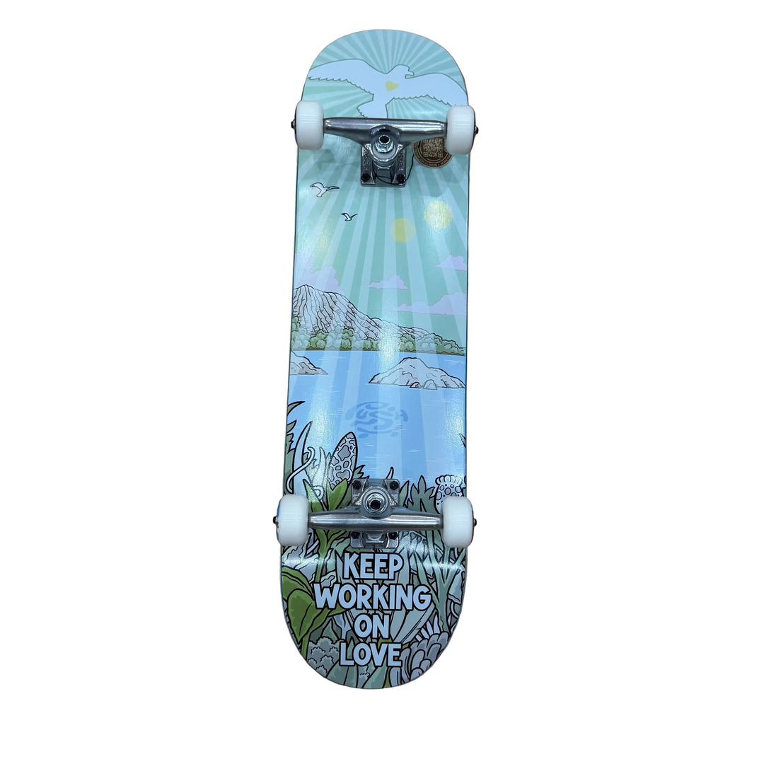 Push Jon Horner Guest Artist Complete Skateboard (8.25)