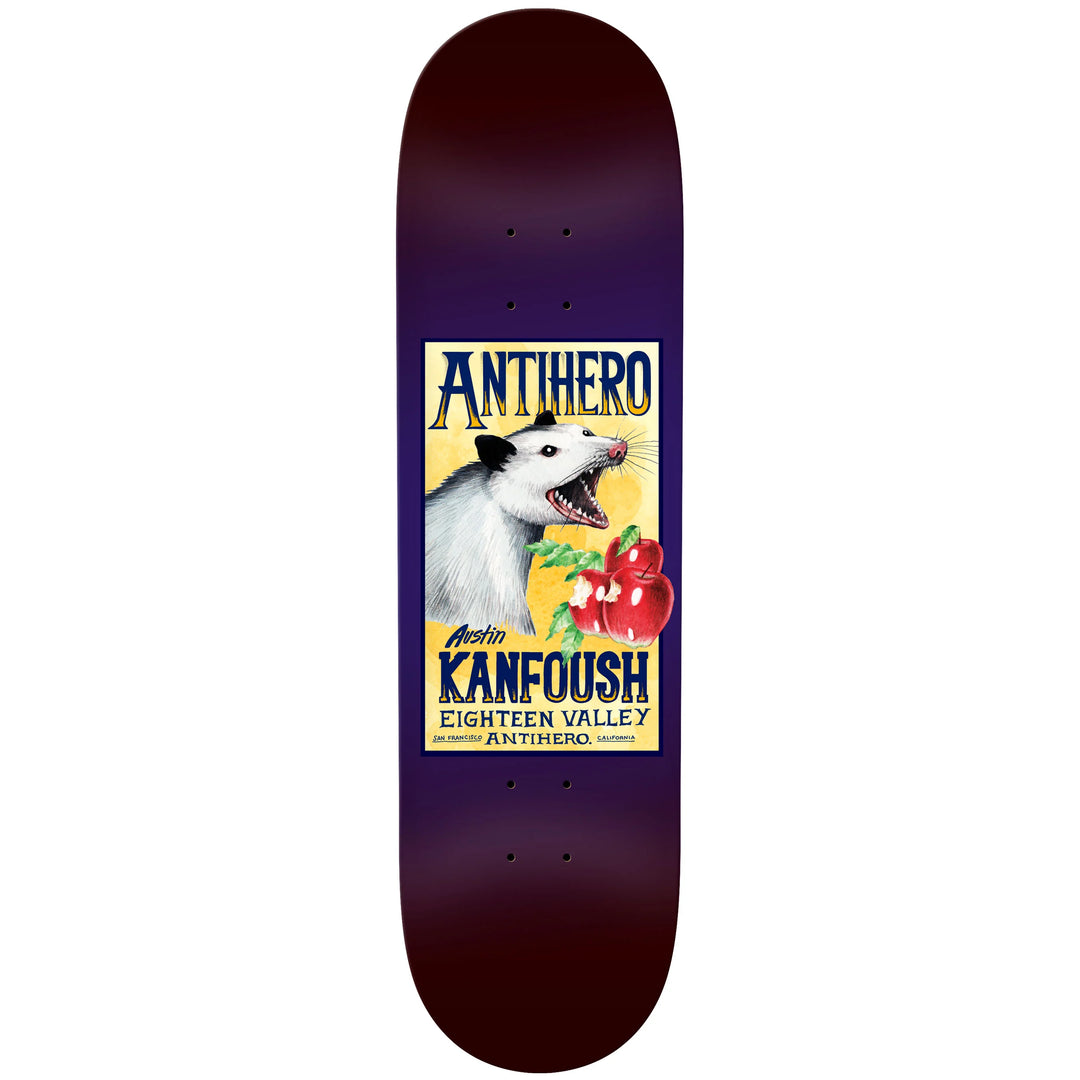 Anti Hero Kanfoush Homer 2 Deck (8.5")