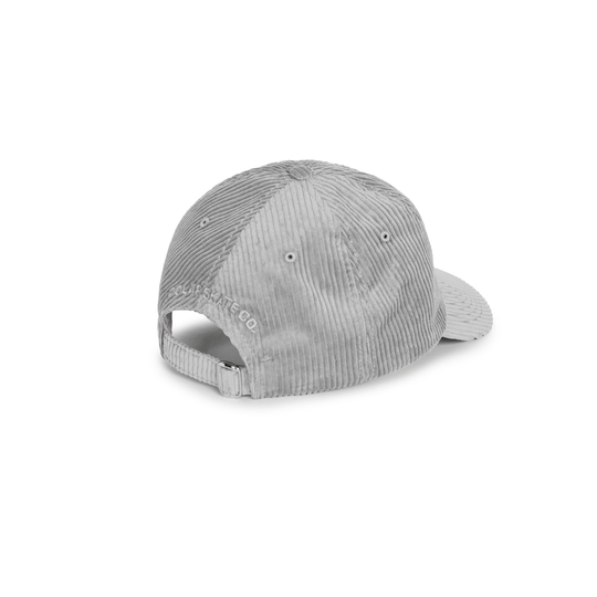 Polar SAI Cap | Cord (Silver)