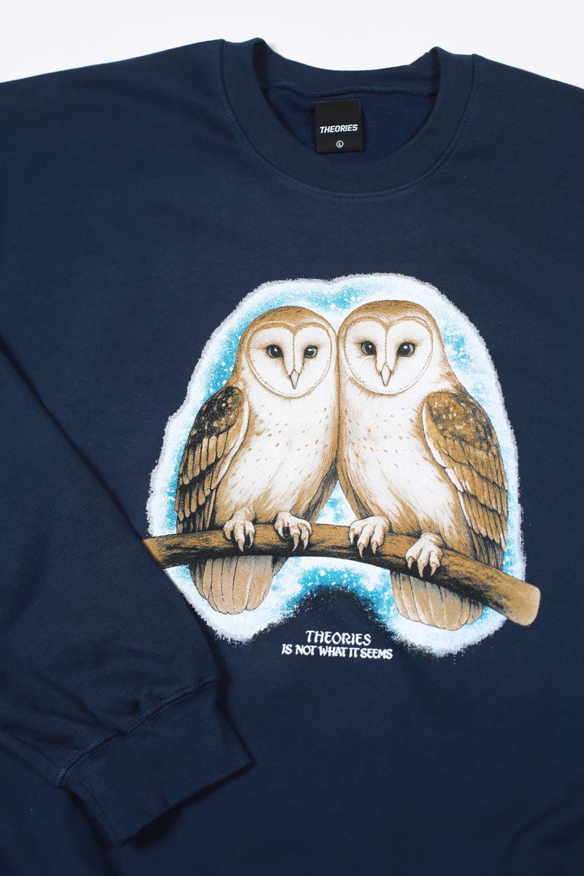 Theories Not What They Seem Crewneck (Navy)