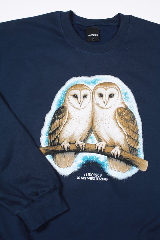 Theories Not What They Seem Crewneck (Navy)