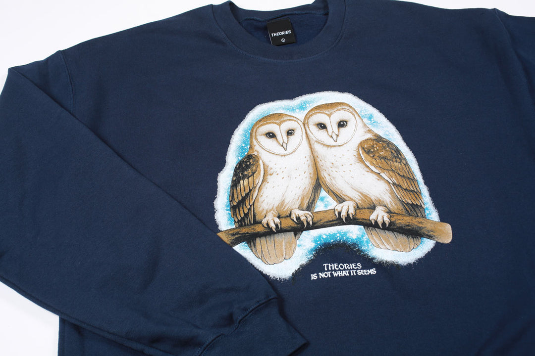 Theories Not What They Seem Crewneck (Navy)
