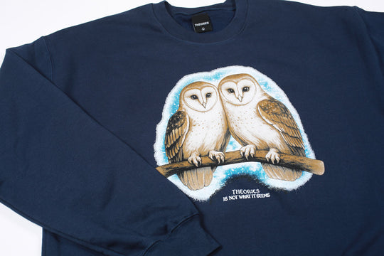 Theories Not What They Seem Crewneck (Navy)
