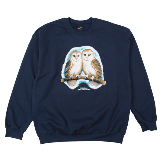 Theories Not What They Seem Crewneck (Navy)
