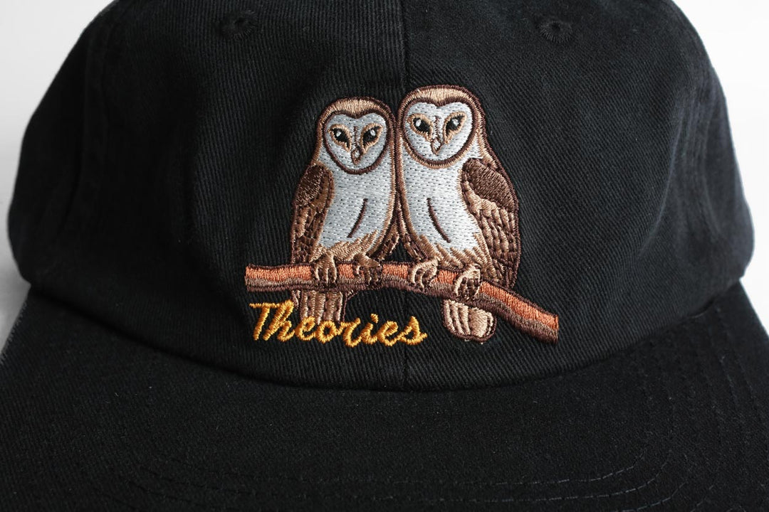 Theories Not What They Seem Strapback Hat (Black)