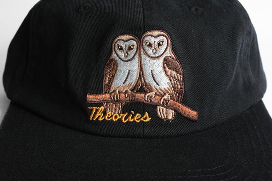 Theories Not What They Seem Strapback Hat (Black)