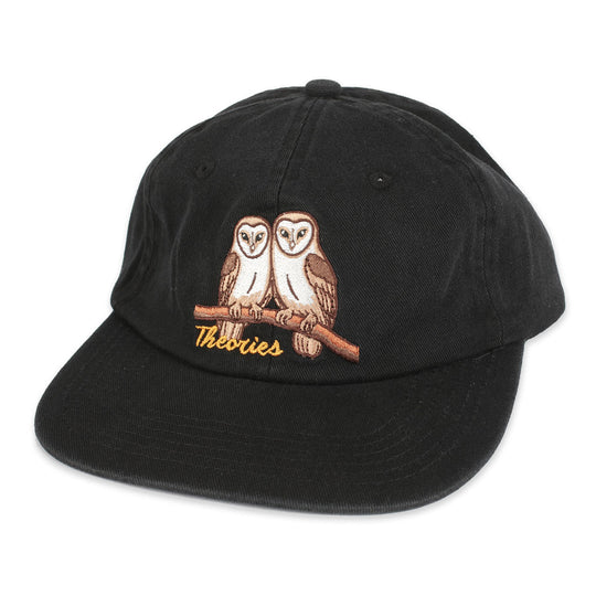 Theories Not What They Seem Strapback Hat (Black)