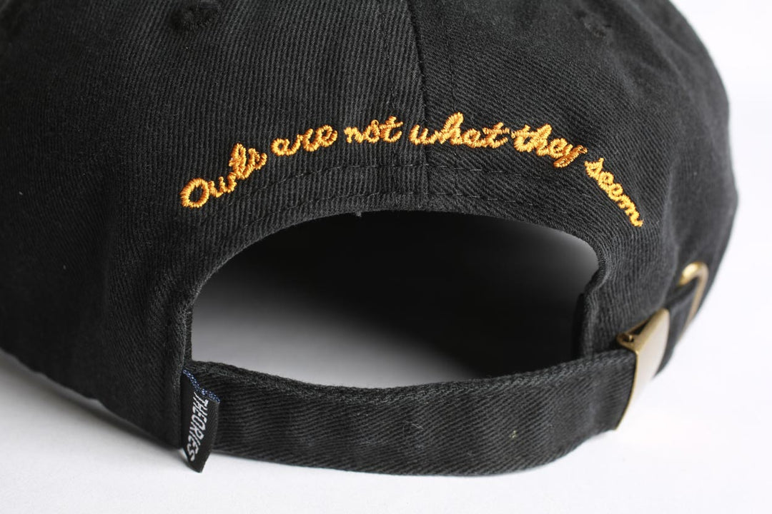 Theories Not What They Seem Strapback Hat (Black)