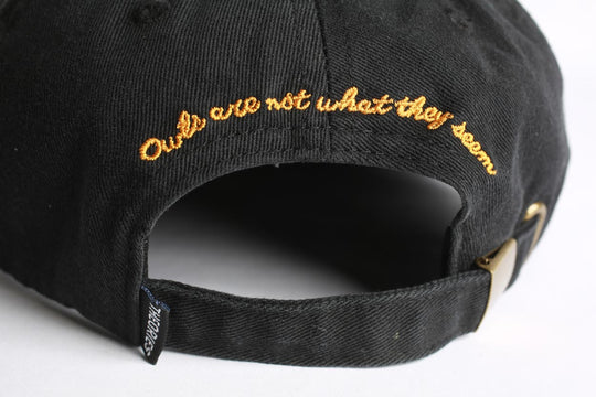 Theories Not What They Seem Strapback Hat (Black)