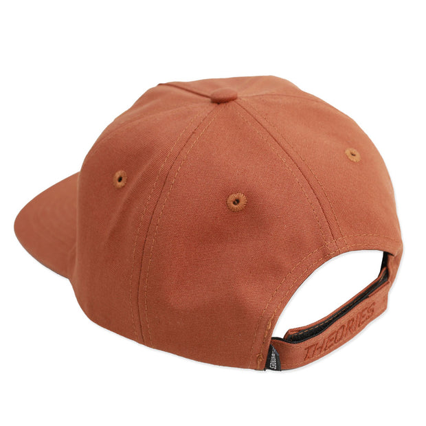 Theories Remote Viewing Duck Canvas Snapback Hat (Brown)