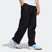 Adidas GORE-TEX Tech Pants (Black/Black)