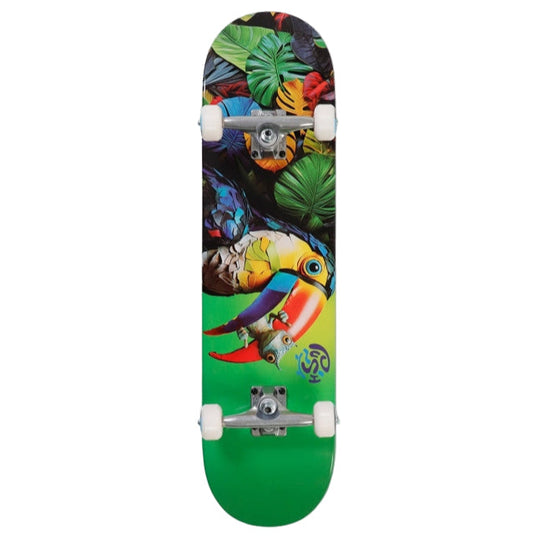 Push Toucan Fade FP Complete (8.25")