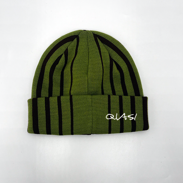 Quasi Blender Beanie (Iguana)